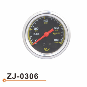 ZJ-0306 fuel pressure gauge