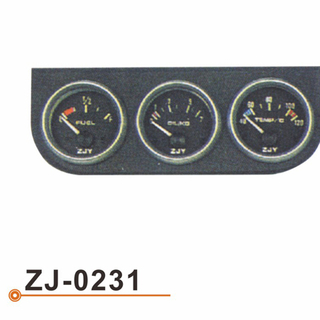 ZJ-0231 Trio Meter