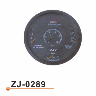 ZJ-0289 Combination Meter