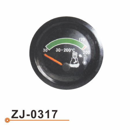 ZJ-0317 Water Temperarture Gauge